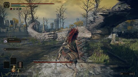 Elden Ring SHIELD RUN | Flying Dragon Ageel