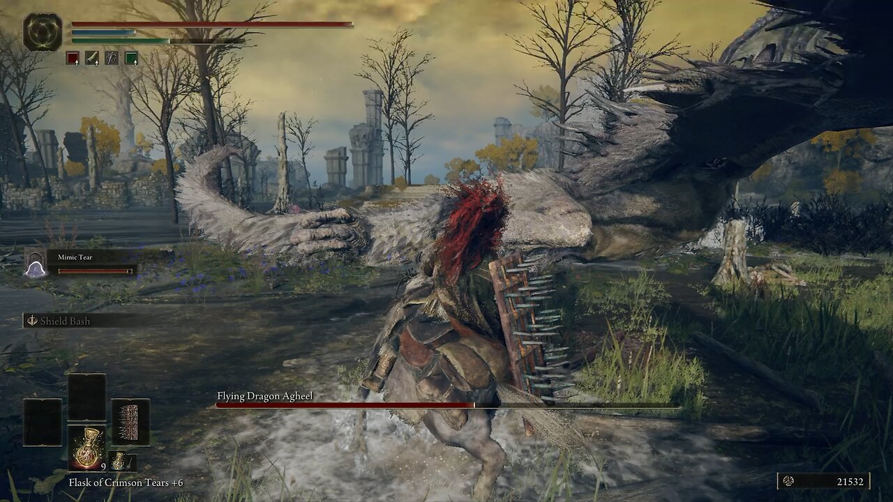 Elden Ring SHIELD RUN | Flying Dragon Ageel