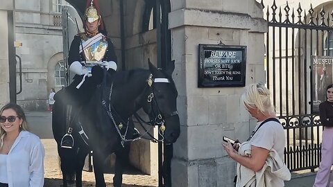 Horse left its mark on his arm #horseguardsparade