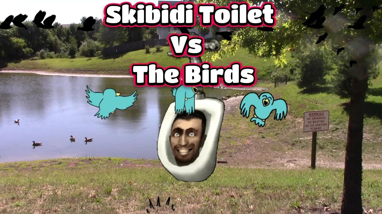 Skibidi Toilet Vs The Birds! 🐦🚽