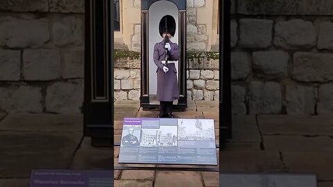 This kings guard made me jump #toweroflondon