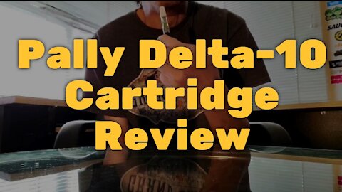 Pally Delta-10 Cartridge Review - Mildly Euphoric and Affordable