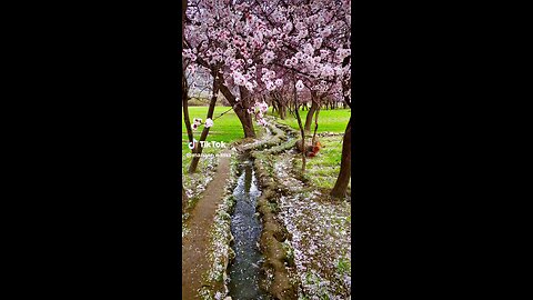 spring season in skardu