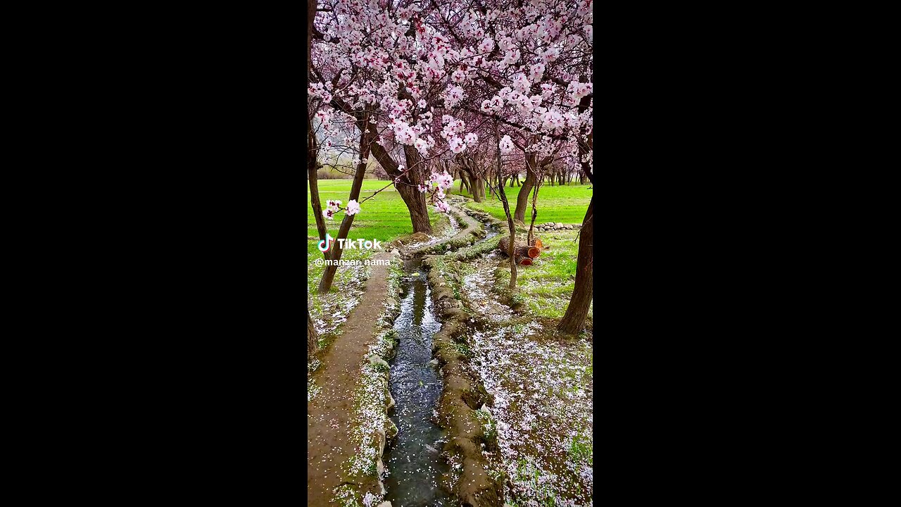 spring season in skardu