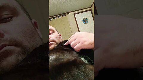 Sleeping kitty #kitty #cat #shortsvideo #shortsfeed #cutekitty #youtubeshorts #catshorts #catlover