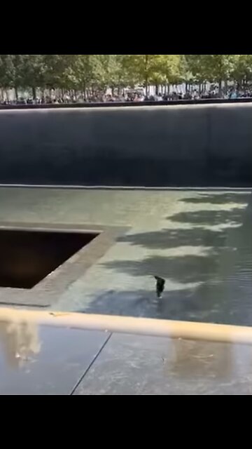 Man falls into ground zero