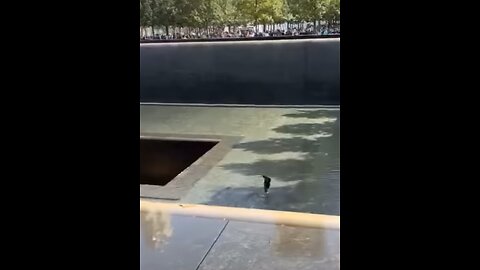 Man falls into ground zero