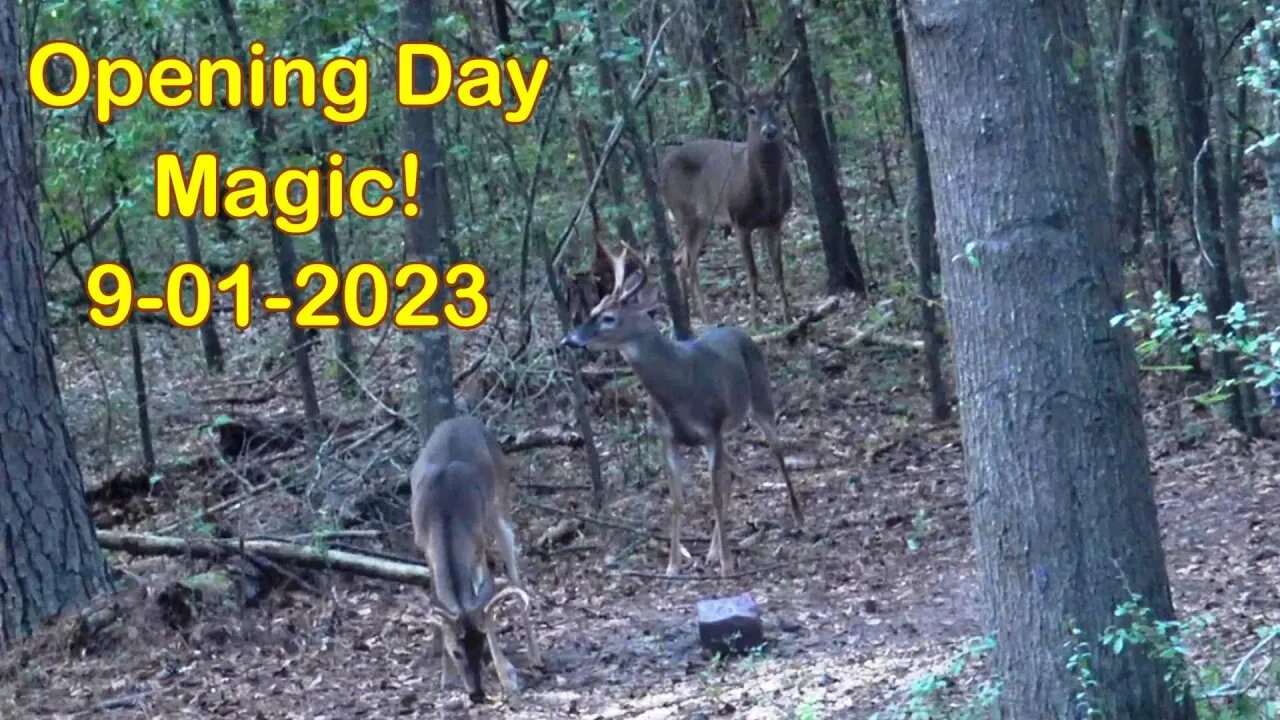 It's GO TIME Folks! Opening Day Bucks! 9-01-2023