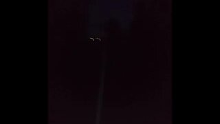 Why you should love bitter freezing rain