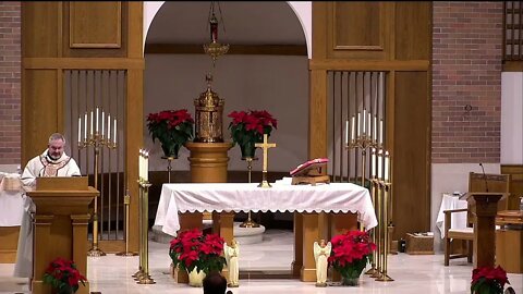 Gospel, Homily, Intercessions - The Presentation