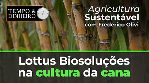 Lottus Biosoluções na cultura da cana