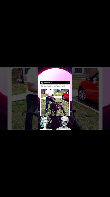 @neckbeardiadnd2245 #meme Diaries #493 #shorts