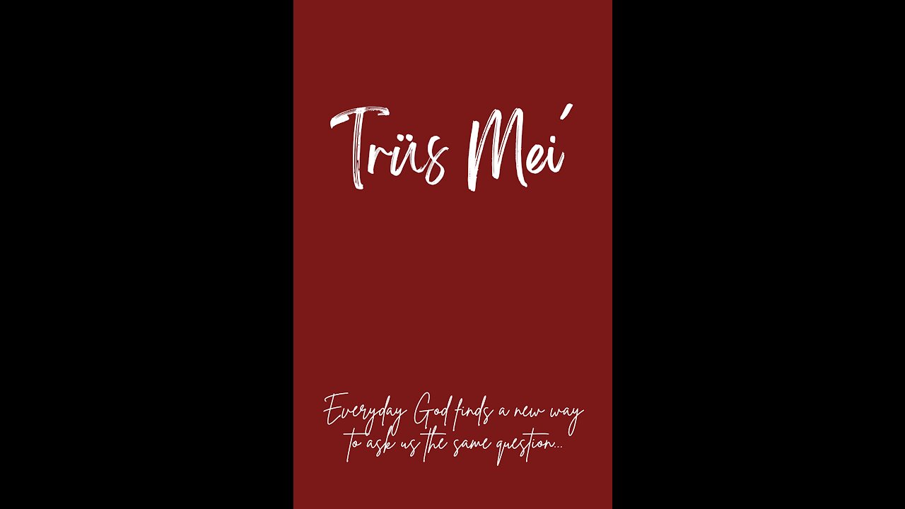 trus mei part I - created for a purpose