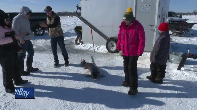 Woman spears sturgeon after visiting Lake Winnebago for second time