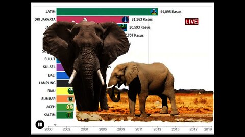 PENURUNAN JUMLAH GAJAH DI BENUA AFRIKA