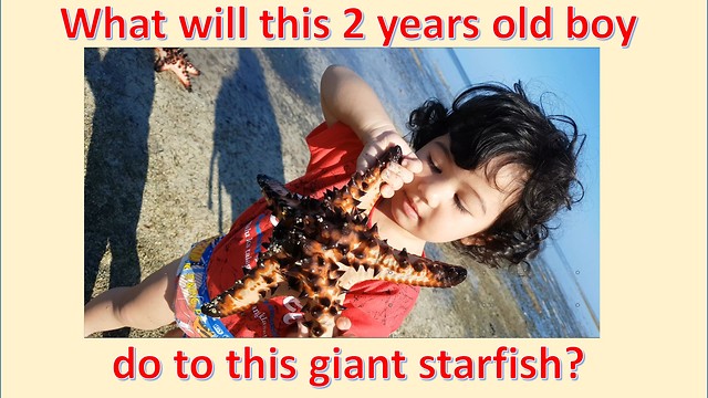 2-year-old Boy Cries to Hold a Giant Starfish: See What He will Do to This Amazing Sea Creature