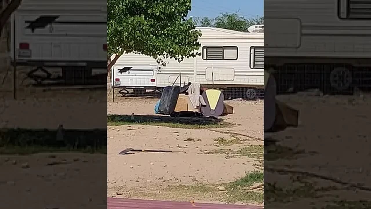 Homeless Encampment on my property lol... no, my yard is not California