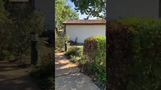 Como é estar no meio do mato na França! #shorts #curiosidades #natureza