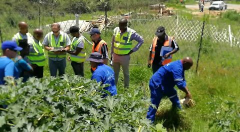 Developers caught stealing electricity and water in Joburg (UA9)