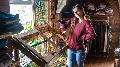 Indoor Baby Chick House DIY