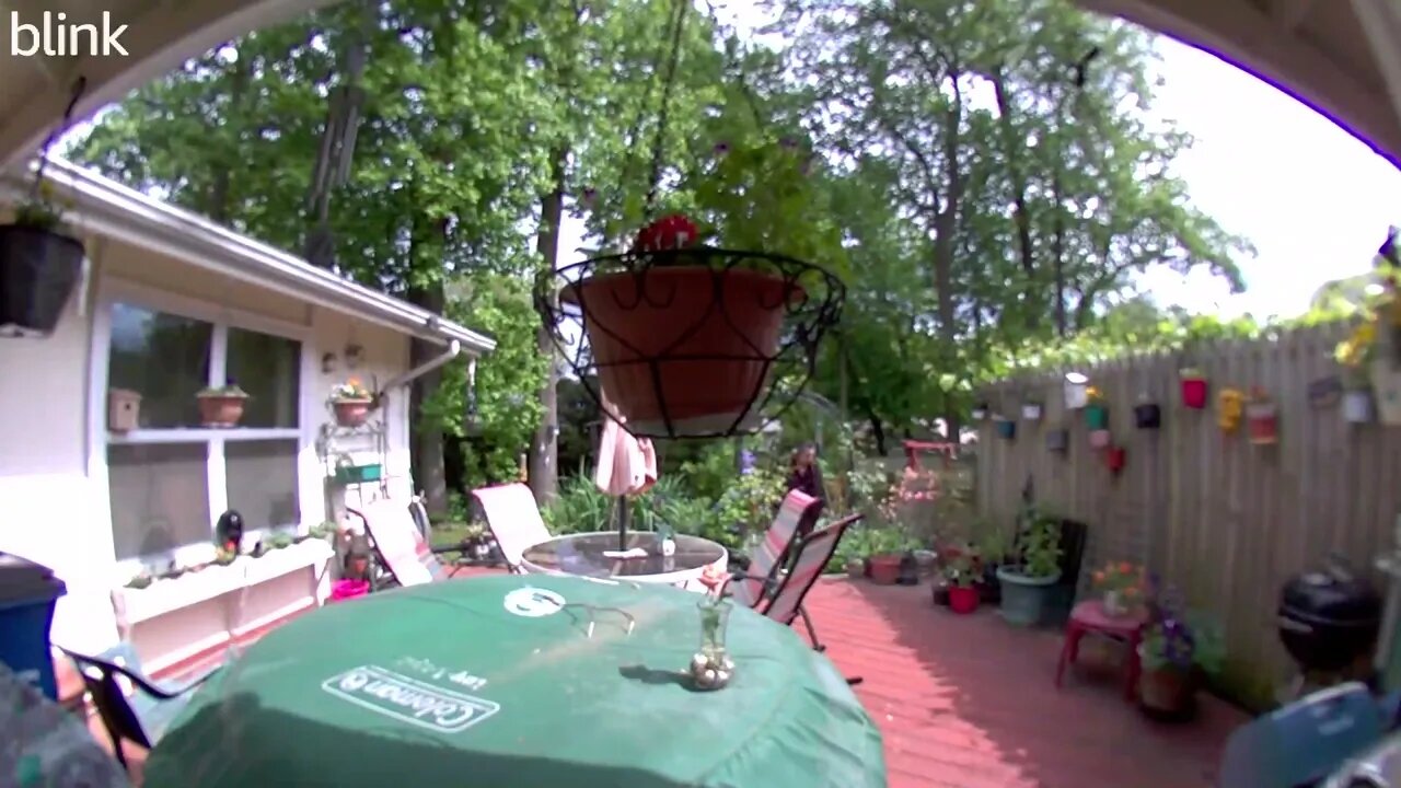 SOUTH_VIDEO_DOOR_BELL_2023-05-04T15_14_22-0400.mp4