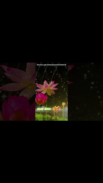 Purificación Profunda: Música de Meditación para Liberar Tensiones y Toxinas 🌬🌿