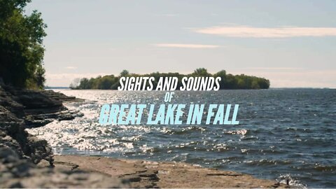 Fall Sights and Sounds in Harbor