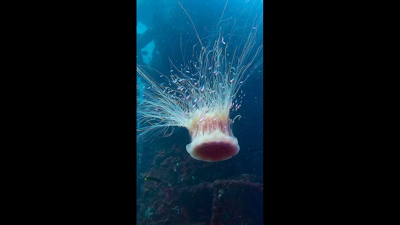 what is this?