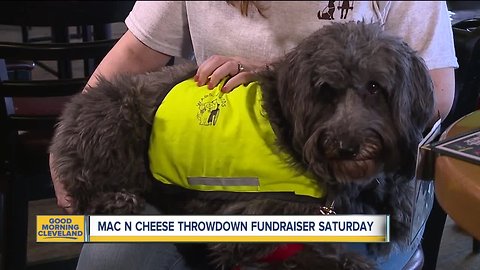 Mac 'n cheese throwdown fundraiser this weekend