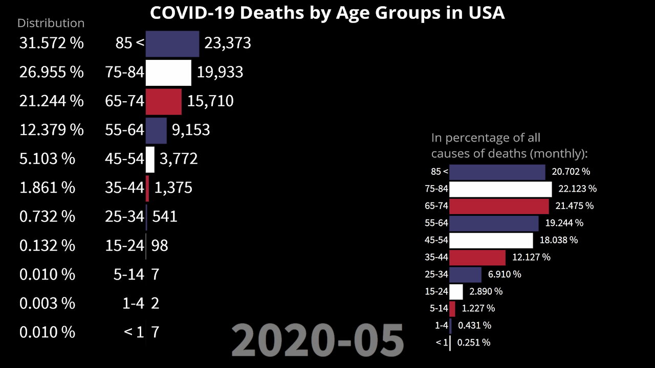 COVID-19 Deaths by Age Groups | USA