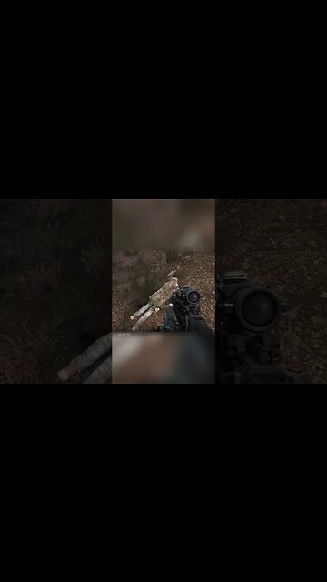 this amboosh cat wants my loot #stalkeranomaly #stalkergame #stalker2