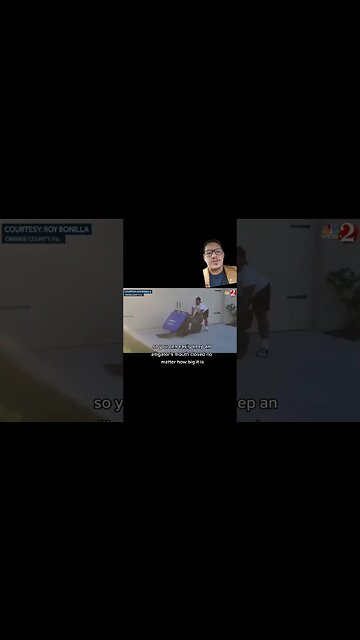 Alligators can easily crush a turtle