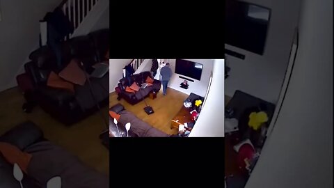 Dog jumps onto table #shorts