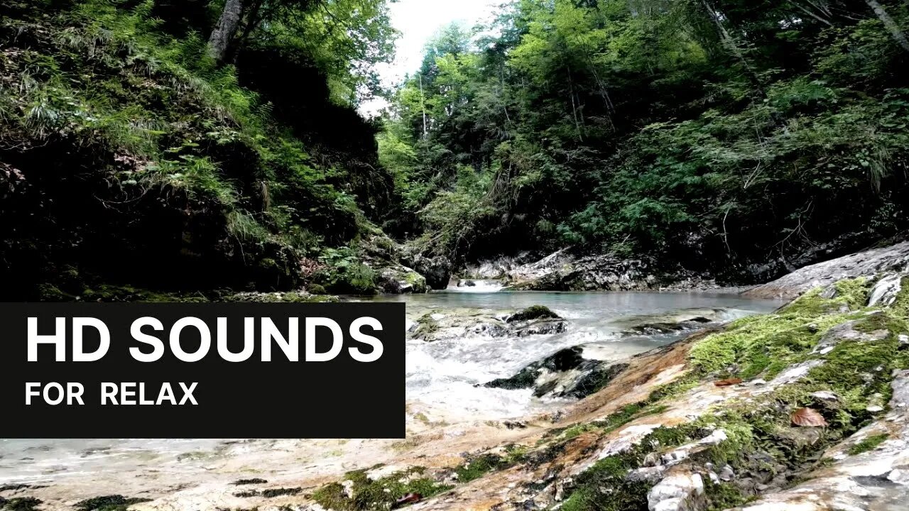 Natural Sounds Of A Mountain Stream | Sounds Of Nature For Relaxation And Fast Sleep