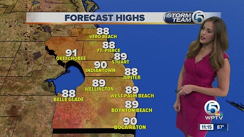 South Florida Wednesday afternoon forecast (6/5/19)