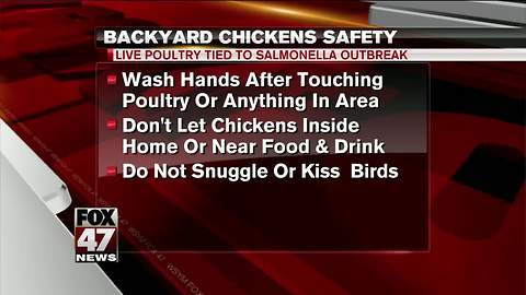 Multi-state outbreak of salmonella linked to backyard chickens