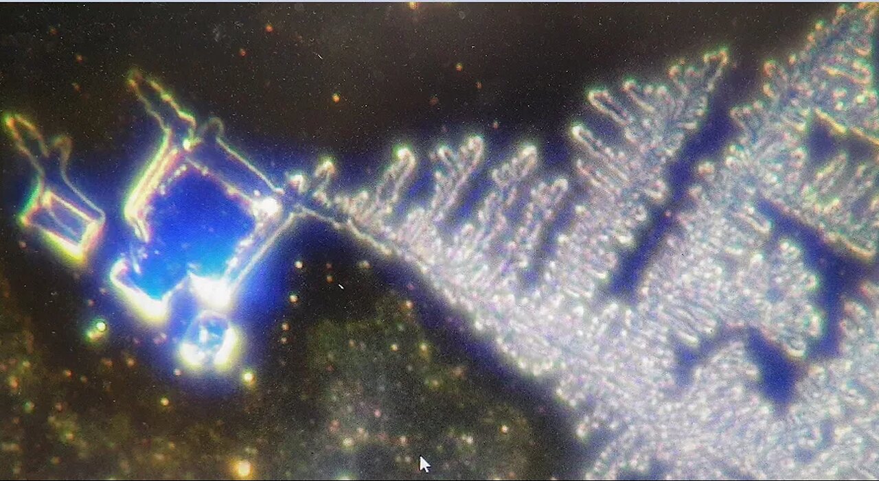 Terral03.com Black Star Report for Monday, October 16, 2023