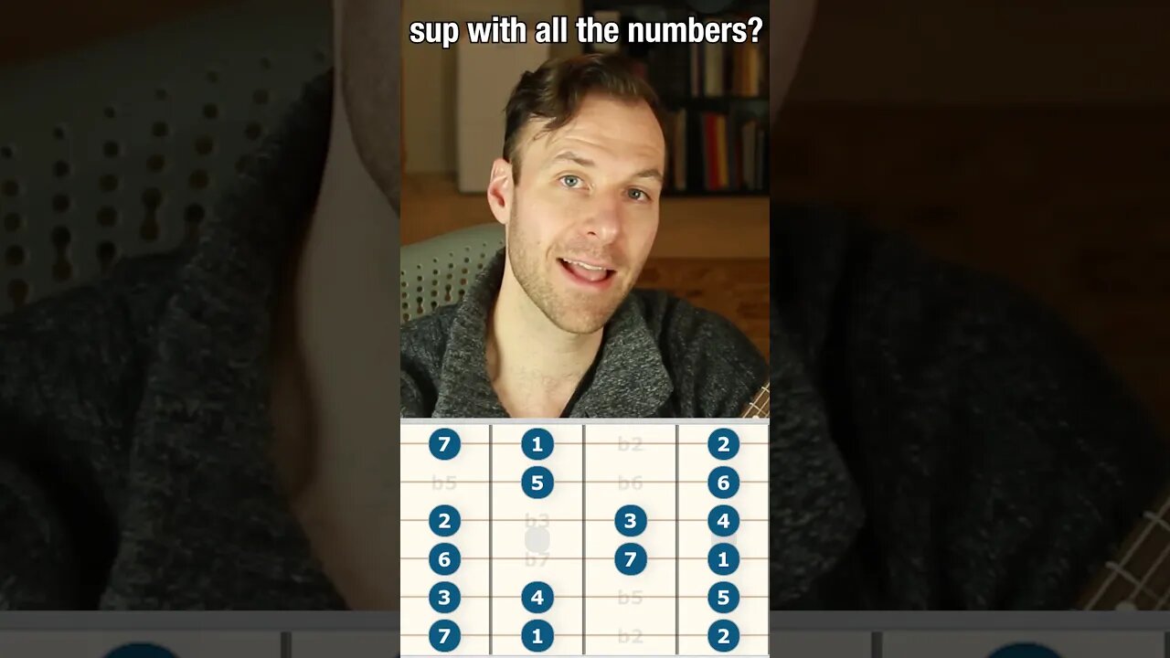 Scale Numbers vs Chord Tone Numbers (what's the difference?)