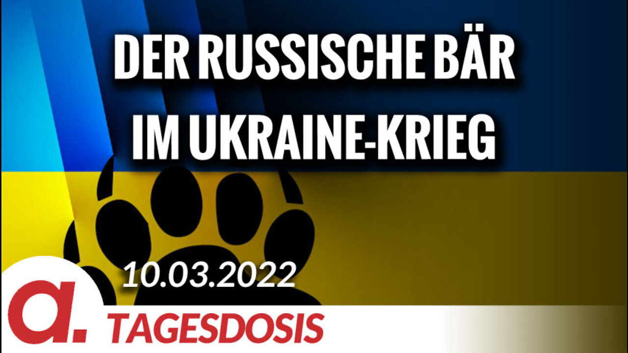 Der russische Bär im Ukraine-Krieg | Von Inga Sprünken