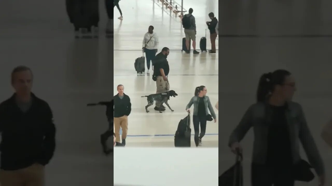 Wow. That poor dog. What a fat pos that agent is.