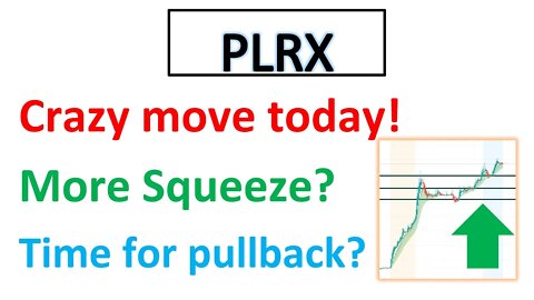 #PLRX 🔥 154% in one day! Will run higher or time for a big pullback? Price analysis