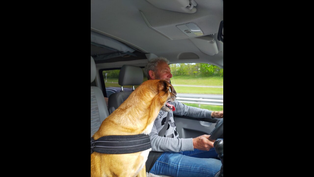 Dick & Janka in Drachten