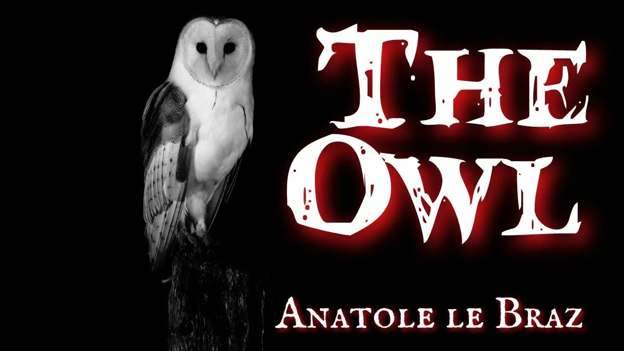 The Owl by Anatole le Braz