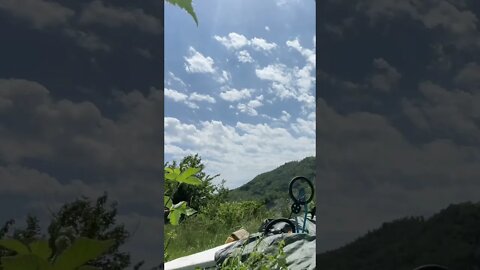 Quickest backflip crash of all time on BMX