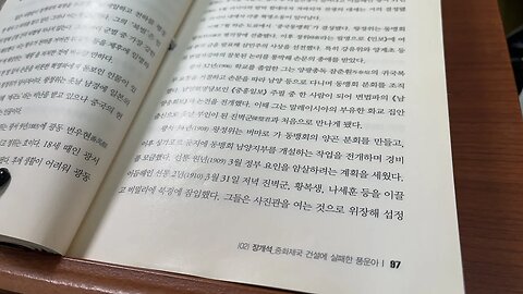 인물로 읽는 중국현대사 신동준 왕정위 장개석 북벌 군벌 매국노 열혈청년 중국동맹회 도쿄 중흥일보 변법파 민보 혁명소동 광서 러시아 발틱함대 싱가포르 말레이시아 화교집안 양광총독