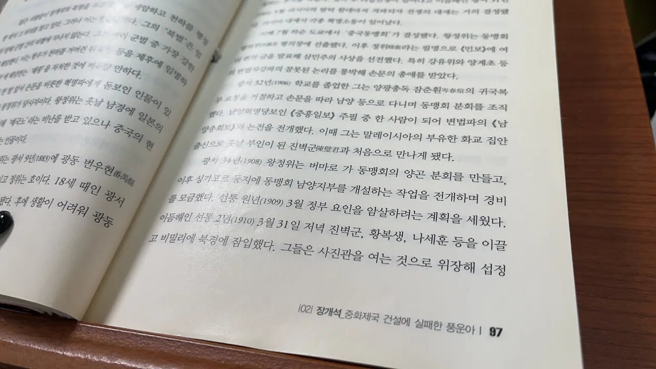 인물로 읽는 중국현대사 신동준 왕정위 장개석 북벌 군벌 매국노 열혈청년 중국동맹회 도쿄 중흥일보 변법파 민보 혁명소동 광서 러시아 발틱함대 싱가포르 말레이시아 화교집안 양광총독