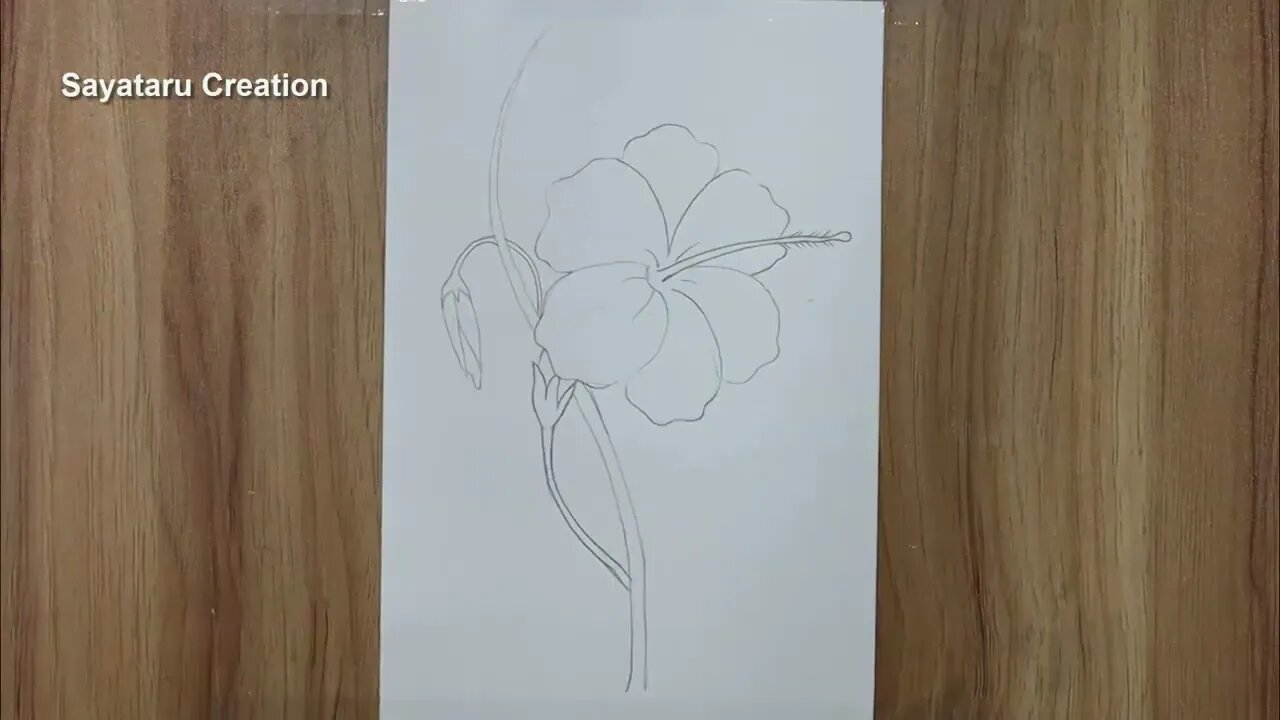 How to draw a hibiscus flower step by step pencil sketch