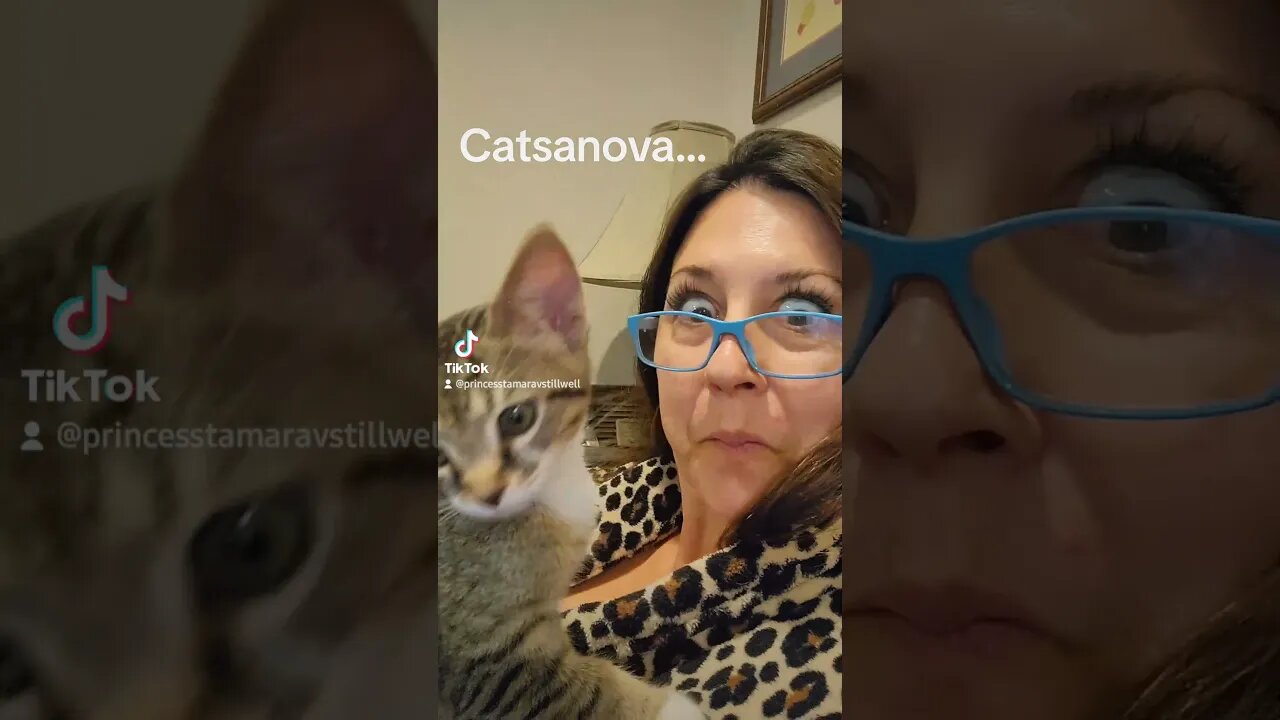 Rescue kitten Catsanova it's hard being the best looking