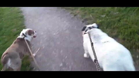 voorbij de schotse hooglanders