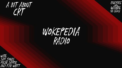 Wokepedia Radio 003 - A Bit About CRT